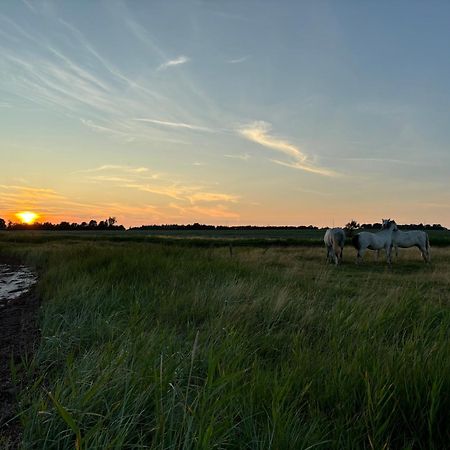 Nedlagt Gard I Naturen Med Ro Og Fred Og Samtidig Taet Pa Strand Og Fiskeri Og Indkobsmuligheder Nordborg Eksteriør billede